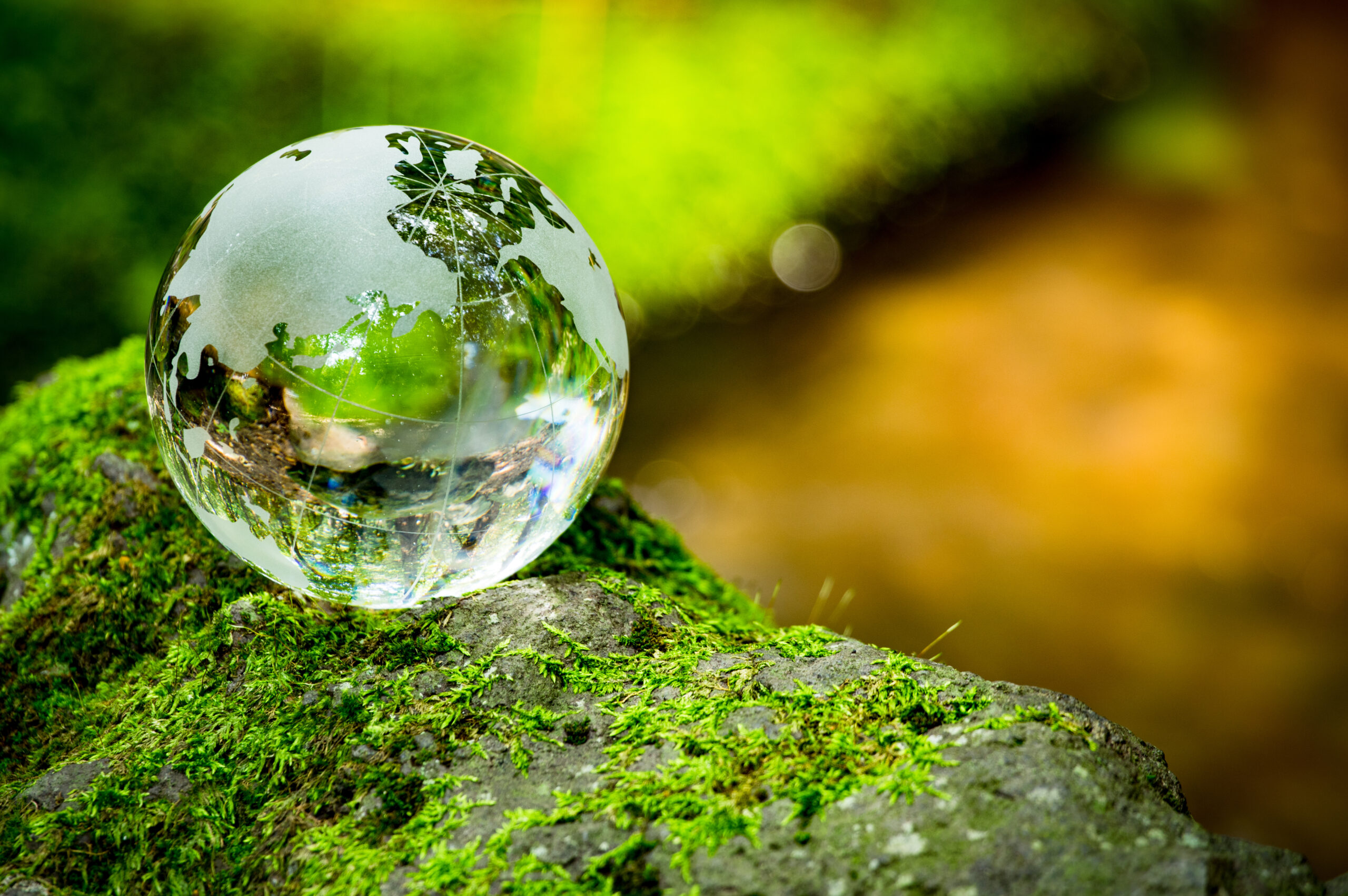 2020-2021-gifting-limits-and-considerations-newburg-company
